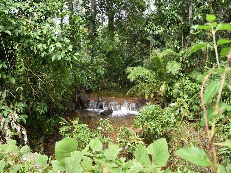 Kama Siri Koh Kood, Koh Kood, Trat